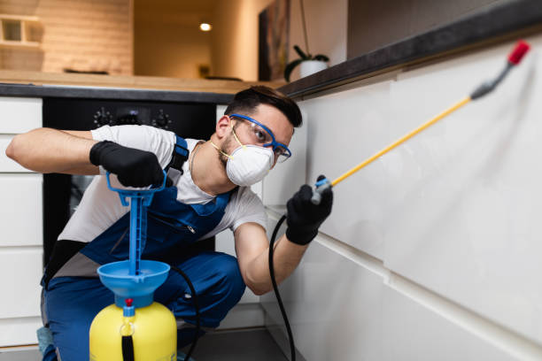 Best Termite Control Services  in Jefferson City, MO