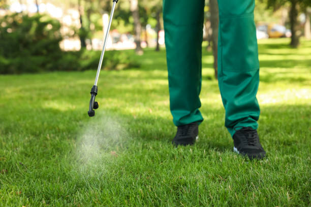 Best Pest Removal Services  in Jefferson City, MO