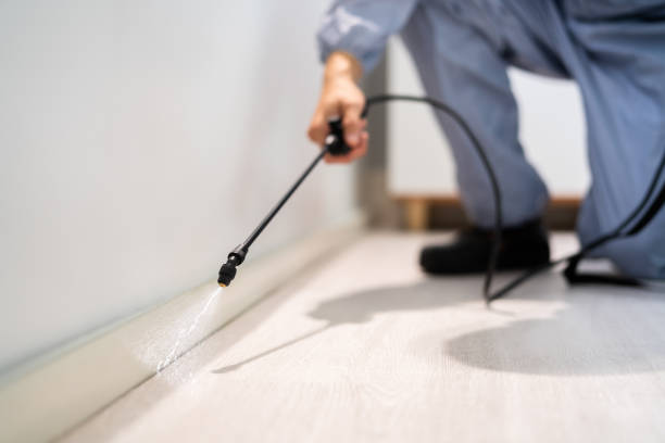 Trusted Jefferson City, MO Pest Control Experts