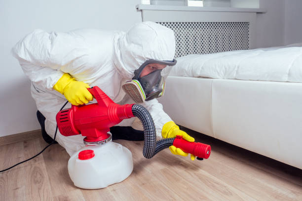 Best Mosquito Control Services  in Jefferson City, MO