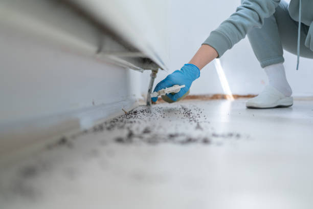 Best Affordable Pest Control Services  in Jefferson City, MO