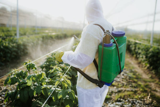Best Wildlife Control Services  in Jefferson City, MO